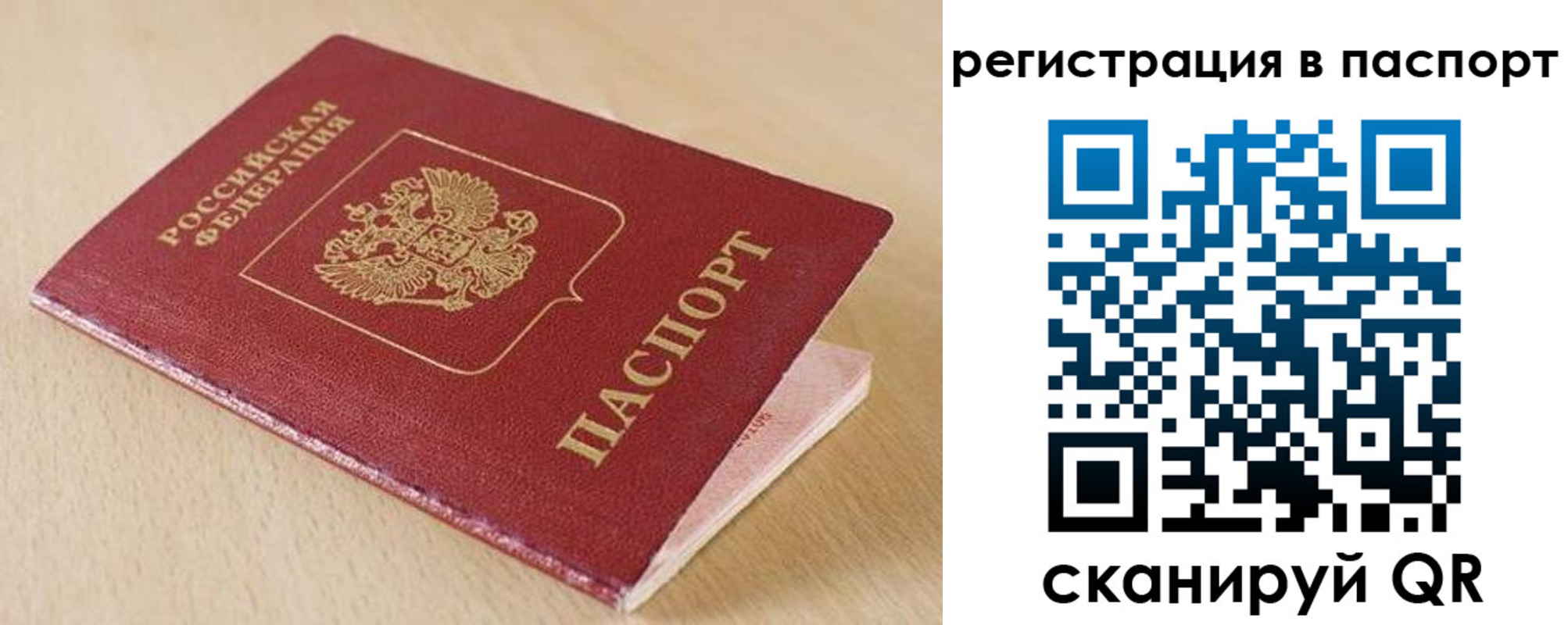 прописка поиск в Далматово